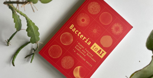 AI is the most important cultural adaptation since the invention of language